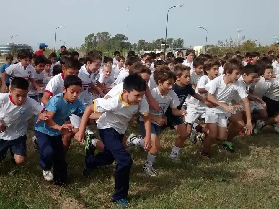 primaria-05-r6jb1ky2xwv5kq2qwafg5q2z9oinaeu1i45h3dr1ma